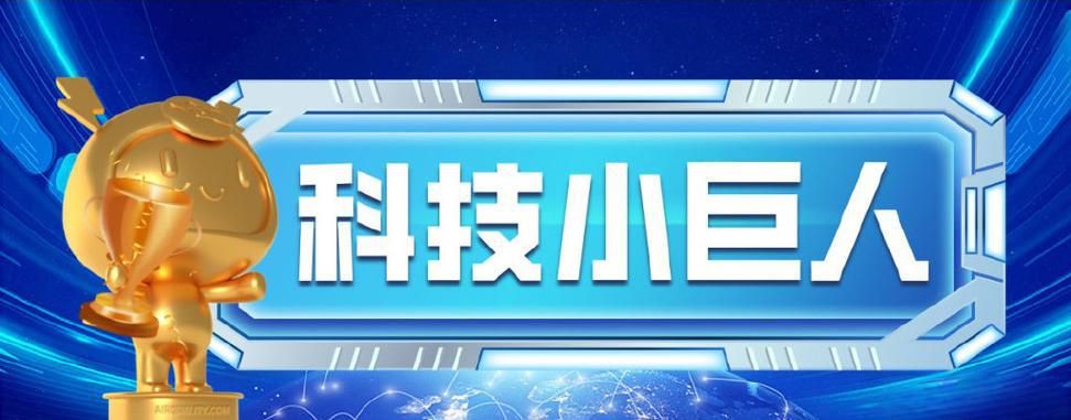 上海市2024年度“科技创新行动计划”科技小巨人工程项目申报通知